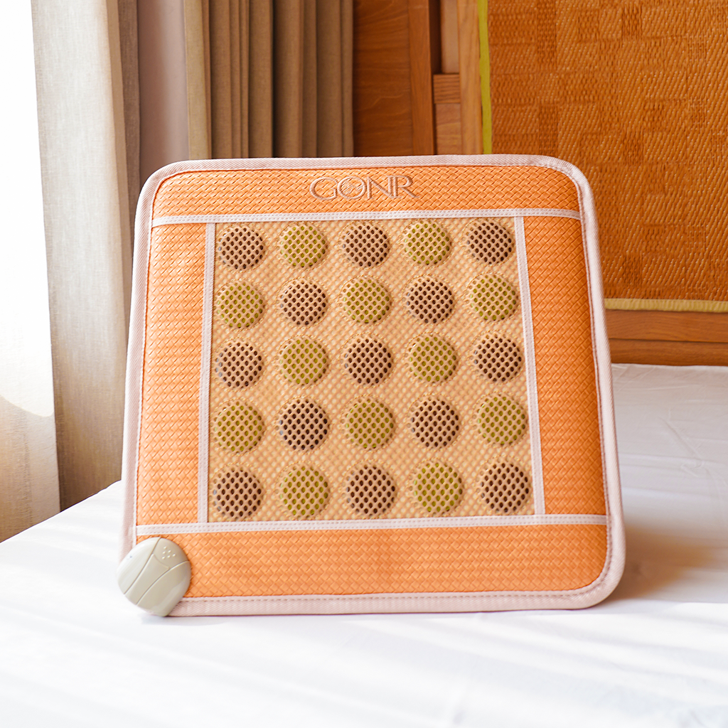 มินิกอณร์ (Mini GONR)